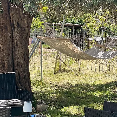 Semesterbostad Elia & Petra *